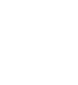 logo12w